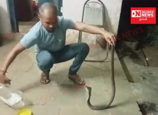 કપરાડાની ગિરનારા આશ્રમ શાળામાં ઝેરી કોબ્રા સાપનો દિલ ધડક રેસક્યુ…