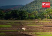 ‘સામુદાયિક નહીં તો વ્યક્તિગત.. પણ પર્યાવરણને બચાવવા પગલાંઓ તો દરેક વ્યક્તિએ લેવા જ પડશે”