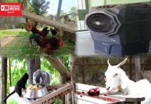 એકતા નગર જંગલ સફારીમાં ઉનાળામાં પ્રાણી-પક્ષીઓ માટે અનેકવિધ સુવિધાઓ ઉભી કરાઇ..