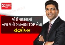 નવી રચાયેલી મોદી સરકારમાં ટેસ્લા-રોલ્સ રોયસ કારના 5000 હજાર કરોડના માલિક બન્યા સાંસદ.. બોલો..!