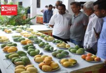 પ્રાકૃતિક ખેતી થકી ઉત્પાદિત 20 જાતની કેરીઓ પ્રદર્શનમાં આકર્ષણનું કેન્દ્ર બની..