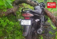 વરસાદી ઝાપટામાં ઝાડની મોટી ડાળી પડી કપરાડાના અરણાઈના બાઈક સવારો પર.. પતિ-પત્ની બંને ઘાયલ