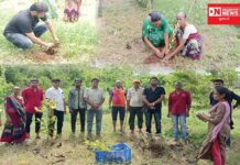 ધરમપુરના મોટીઢોલડુંગરી ગામમાં અતુલ ફાઉન્ડેશન વલસાડ અને કોહેઝન ફાઉન્ડેશન ટ્રસ્ટ દ્વારા કરાયું વૃક્ષારોપણ.. કલ્પેશ પટેલે આપી હાજરી.. જુઓ વિડીઓ..