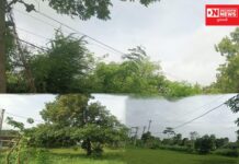 વીજના જીવંત ખુલ્લાં તાર: વીજ સબ ડિવિઝન અનાવલ બોર્ડ કોઈ નિર્દોષ વ્યક્તિનો જીવ લીધા વિના નહિ માને..!