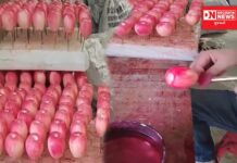 તમારા આરોગ્ય સાથે આવી ખતરનાક રીતે લાલ સફરજન કરી કરાઈ રહ્યા છે ચેંડા..જુઓ વાઇરલ વીડિયો