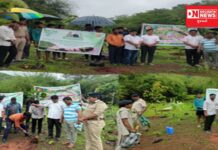 ધરમપુરમાં ચીજઓઝર શિવ શોધ ખાતે સ્વામી વિવેકાનંદ ગુજરાત રાજ્ય યુવા બોર્ડ દ્વારા કરાયું વૃક્ષારોપણ..