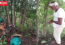 ડેડીયાપાડાના ચિકદા આંબા ફળીયામાં વડીલો પાર્જિત રૂઢિ, પરંપરા મુજબ માટલીયા દેવની કરાઈ પુજા..