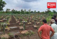 વાપીના કરાયામાં પ્રાકૃતિક ખેતી અંગેની તાલીમમાં ૨૯ ખેડૂતોએ તાલીમ મેળવી..