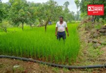 અમે પ્રાકૃતિક ખેતી અપનાવી બમણી આવક મેળવતાં થયા..