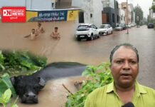 નર્મદા જિલ્લામાં ચારેકોર પાણી જ પાણી.. જુઓ વિડીઓ..