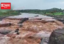 કરજણ નદીમાં જળસ્તર વધતા ધાણીખૂટ ધોધનું રૌદ્ર સ્વરૂપ જોવા મળ્યું, જુઓ ધોધના દ્રશ્યો..