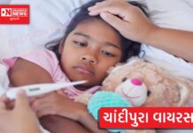 ગુજરાતમાં ચાંદીપુરાનો આંકડો પહોંચ્યો 125ને પાર, મૃત્યુ 48, જાણો ક્યાં કેટલાં કેસ..