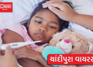 ગુજરાતમાં ચાંદીપુરાનો આંકડો પહોંચ્યો 125ને પાર, મૃત્યુ 48, જાણો ક્યાં કેટલાં કેસ..