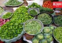 વરસાદના લીધે શાકભાજીના ભાવમાં ભડાકો, ચોળીની બેવડી સદી.. જાણો શાકભાજીના ભાવો..