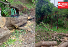 ડેડીયાપાડાના પાનખલા ગામના નિશાળ ફળિયામાં છવાયો અંધારપટ, છેલ્લા 15 દિવસથી લાઈટ ન હોવાથી ગ્રામજનો પરેશાની ભોગવી રહ્યા છે.