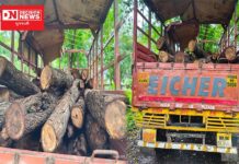 દાનહના રુદાના ખાતેથી ગેરકાયદે ખેરના લાકડા ઝડપાયા..