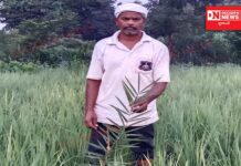 વ્યારાના આદિવાસી ચૌધરી સમુદાયમાં ખેડૂતોની બળેવના દિવસની ઉજવણીની અનોખી પરંપરા..