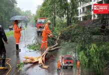 દાનહમાં ભારે વરસાદના કારણે જનજીવન પ્રભાવિત.. વૃક્ષો હાઈવે થયા ધરાશયી..