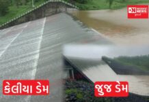 વાંસદાના કેલીયા અને જૂજ ડેમમાં પાણીની આવક વધી.. 2 ફૂટથી ઓવરફલો.. વાંસદામાં 24 કલાકમાં 11 ઇંચથી વધુ વરસાદ