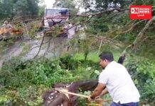 સમસ્ત આદિવાસી સમાજ,ખેરગામ દ્વારા ધરમપુર-લાકડમાળ નેશનલ હાઇવે પર વૃક્ષ કાપી ટ્રાફિક ખુલ્લો કરાયો. જુઓ વિડીયો..