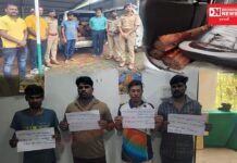 આહવાના કડમાળ ગામની હદમાં ટવેરામાંથી ખેરનાં લાકડા સાથે ચાર ઝડપાયો એક વોન્ટેડ..