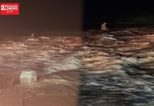 તિલકવાડાની અશ્વિની નદીના કોઝવે પર ફસાયેલા વ્યક્તિનું SDRFની ટીમ દ્વારા રાત્રિએ કરાયું સફળ રેસ્ક્યુ..