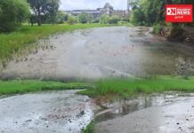 સેલવાસમાં સાયલી ભોયાપાડા ખાતે કુદરતી ઝરણામાં આલોક કંપની દ્વારા ગંદુ પાણી છોડતાં NGT માં ફરિયાદ..