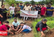 જયપાલસિંહ ચેરિટેબલ ટ્રસ્ટ દ્વારા વાંસદાના રંગપુર ગામમાં સ્થાનિક યુવાઓ સાથે યોજાયો વૃક્ષારોપણ કાર્યક્રમ..