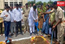 ઉમરપાડાના સરકારી કોલેજમાં માનનીય વડાપ્રધાનના જન્મદિવસ નિમિત્તે યોજાયો 75 મો વન મહોત્સવ..