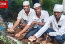 માંગરોળ તાલુકાના બોરીયા ગામે હરાદ (શ્રાદ્ધ) નિમિત્તે પૂર્વજોને નવા તૂલનો (પાકનો) વાસ મૂકીને રાજી કરાયાં..