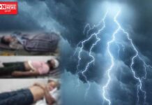 વીજળીના કડાકા ભડાકા સાથે વરસેલા વરસાદમાં વીજળી પડતા 4 લોકોના મોત.. ઘણા દાઝયા.. સારવાર હેઠળ..