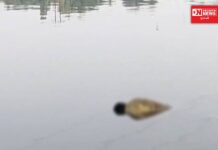 ગૂમ થયેલા નવસારીના યુવકની મહીસાગર નદીમાંથી મળી લાશ..