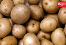માર્કેટમાં આવી ગયા નકલી બટાકા.. બગાડે છે કિડની અને લીવર.. કેવી રીતે ઓખશો નકલી બટાકાને..