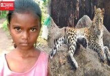 આદિવાસી માસુમ બાળકી પર દિપડાએ કર્યો હુમલો.. બાળકીનું મોત.. વનવિભાગ સામે લોકો આક્રોશમાં..