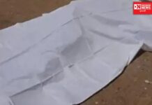 કપરાડામાં જંગલી ડુક્કરોથી શકરિયા પાકને બચાવવા ખેડૂત દ્વારા લગાવાયેલ કરંટે એક વ્યક્તિને પોહચાડી દીધો મૃત્યુલોક..