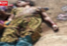 માનવતા શર્મસાર: કપરાડામાં કલયુગી દીકરાએ સાવકી ‘માં’ પર દાતરડાંના ઘા ઝીંકી કરી નાખી હત્યા..