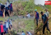 ગરૂડેશ્વરના ઉંડવા સહિત અનેક જગ્યાએ સાફસફાઈનાં અભાવે કેનાલમાં ઝાડી-ઝાંખરા ઉગી નિકળ્યા: ખેડૂતો પાણીથી વંચિત