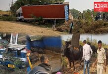 ઝઘડિયામાં ભેંસો લઇને જતું કન્ટેનર ઝાડ સાથે અથડાઇને ખાડામાં ઉતરી જતા નવ ભેંસોના થયા મોત..