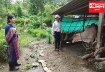 દેશી ગાય સહાય યોજના.. વલસાડમાં 3239 ખેડૂત લાભાર્થીઓને 3 કરોડ 49 લાખની મળી સહાય..