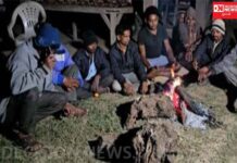 દીપડા પકડવા પાંજરા મૂકી વન વિભાગ મીઠી નીંદરમાં.. અને વાંસદાના ગામડાઓમાં દીપડાના બીકે ગ્રામજનો કરી રહ્યા છે પરિવારની રખેવાળી..