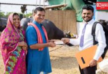 પશુપાલન કરતા ખેડૂતો માટે પશુ કિસાન ક્રેડિટ કાર્ડ લોન્ચ.. ભેંસો માટે 60000 અને ગાય માટે 40000 રૂપિયાની મળશે લોન