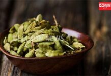 દરરોજ ફક્ત 2 ઇલાયચી ખાવાથી.. જાણો શું થશે ફાયદા..