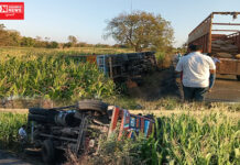 ગોવટ થી ઉમરપાડા રસ્તા વચ્ચે ટ્રક પલટી ખાવાની ઘટના સામે આવી…