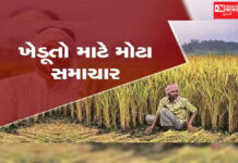 શું તમારા ખાતામાં નથી આવ્યા 19માં હપ્તાના 2000 રૂપિયા? ફટાફટ અહીં ફરિયાદ કરો, તરત મળશે પૈસા…