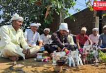 આદિવાસી સંસ્કૃતીની એક ઝલક: ઉમરપાડામાં પીલવણી ઉત્સવની ઉજવણી સંદર્ભે યોજાઇ આયોજન બેઠક..