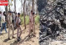 અંકલેશ્વરના બાકરોલ ગામમાં શેરડીના ખેતરમાંથી માનવ કંકાલ મળ્યું..