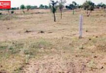 આહવામાં બળજબરી પૂર્વક જમીન પર કબજો કરી લેતાં વૃદ્ધ મહિલાએ કાર્યવાહીની કરી માંગ..