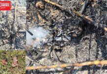 ઝઘડિયા તાલુકાના કરાડ ગામની સીમમાં શેરડીના ખેતરમાંથી સળગી ગયેલ હાલતમાં માનવ કંકાલ મળતા ચકચાર..