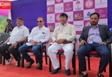 નવસારીમાં NPLનો પ્રારંભ, 8 વર્ષ બાદ ટુર્નામેન્ટની શરૂઆત, 8 ટીમોમાં 120 ખેલાડીઓ ભાગ લેશે…