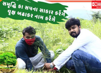 આજે 21 માર્ચ.. વિશ્વ વન દિવસ.. શું છે ખાસ આ વન દિવસ પર..